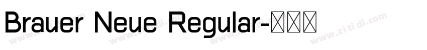Brauer Neue Regular字体转换